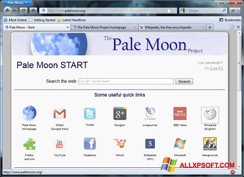 스크린 샷 Pale Moon Windows XP