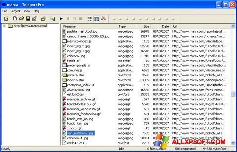 스크린 샷 Teleport Pro Windows XP