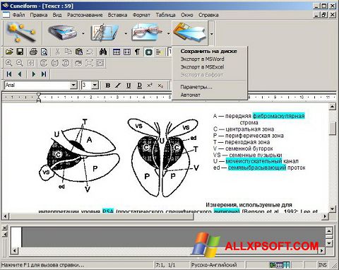 스크린 샷 CuneiForm Windows XP