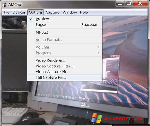 스크린 샷 AMCap Windows XP