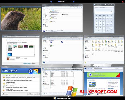 스크린 샷 Dexpot Windows XP