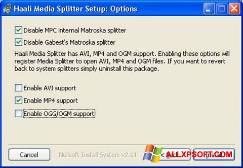 스크린 샷 Haali Media Splitter Windows XP