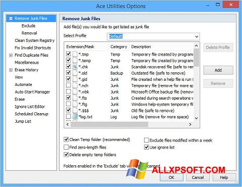 스크린 샷 Ace Utilities Windows XP