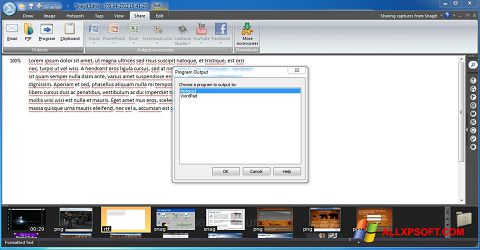 스크린 샷 Snagit Windows XP