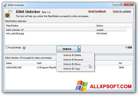 스크린 샷 IObit Unlocker Windows XP
