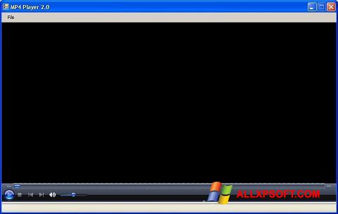 스크린 샷 MP4 Player Windows XP
