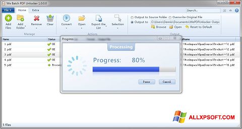 스크린 샷 PDF Unlocker Windows XP