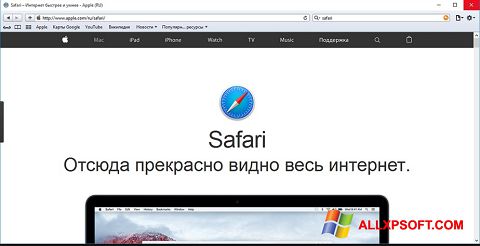 스크린 샷 Safari Windows XP