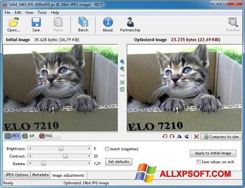 스크린 샷 RIOT Windows XP