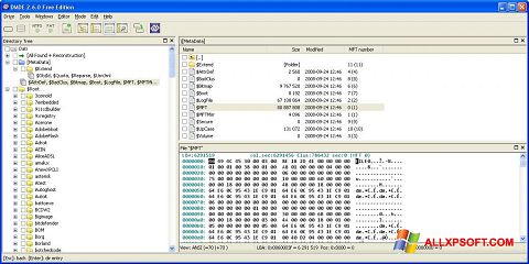 스크린 샷 DMDE Windows XP
